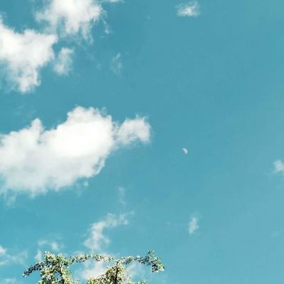 秋季完美停车无敌版